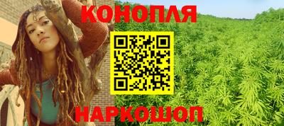 прущие грибы Кингисепп