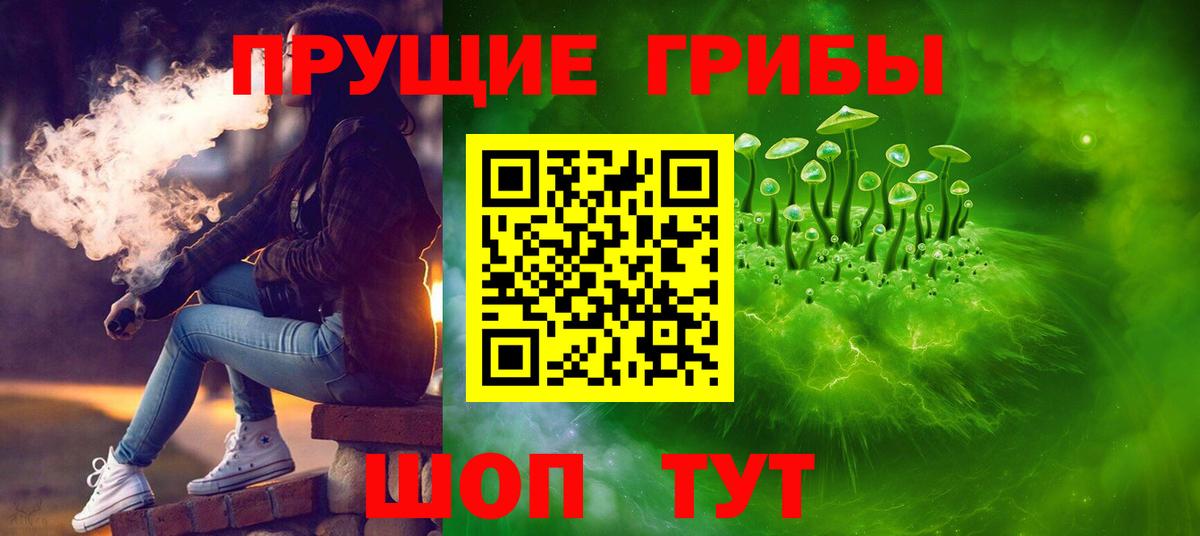 купить закладку  Вход с VPN  Заинск  Псилоцибиновые грибы Magic Shrooms  Псилоцибиновые грибы ЛСД 